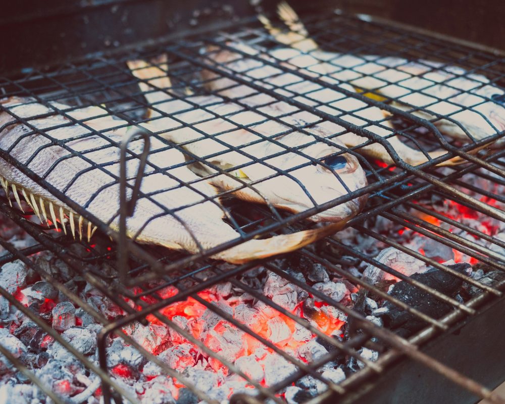 ante-hamersmit-DtFUkCNR6kY-unsplash